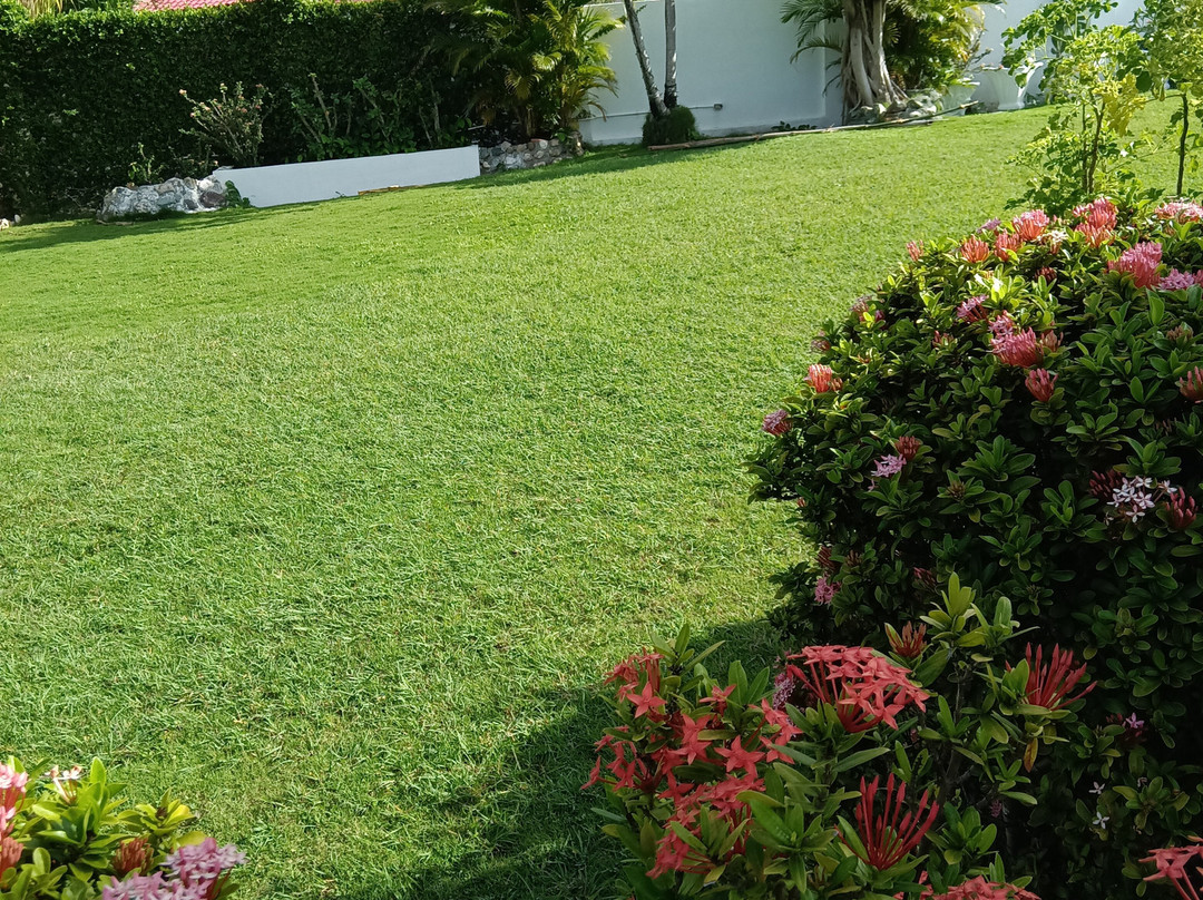 Whispering Bamboo Cove Resort主图