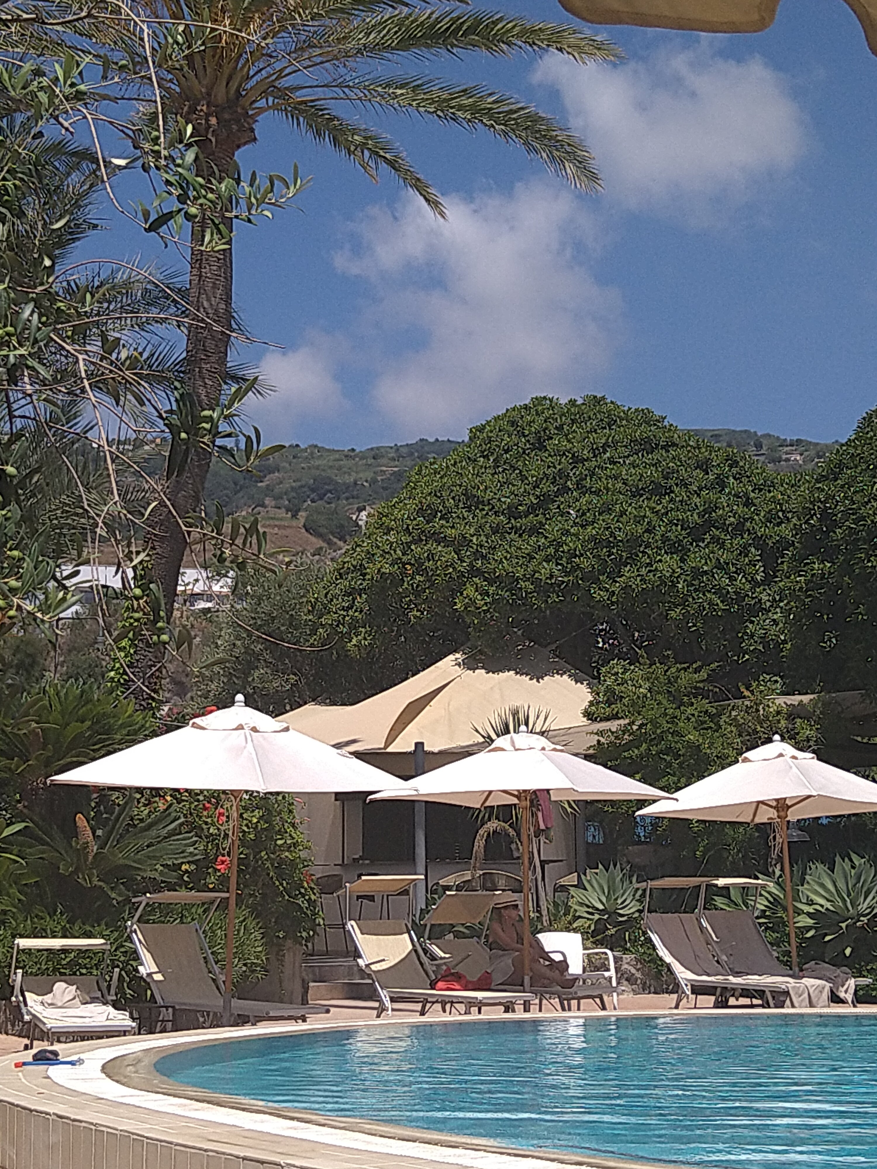 Hotel Parco Smeraldo Terme-泳池