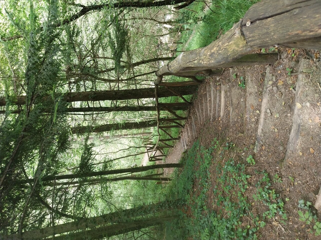 Cascata della Rovinaccia-Canevare必去景点