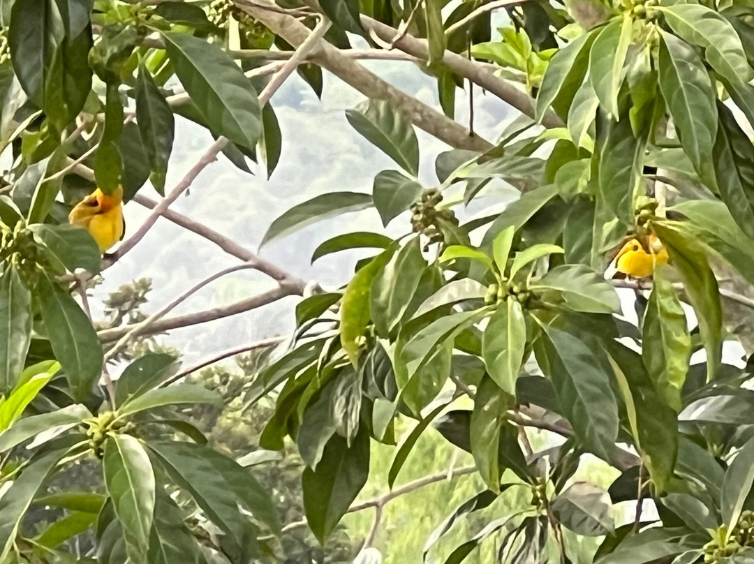 美丽多拉斯帕尔马斯酒店主图