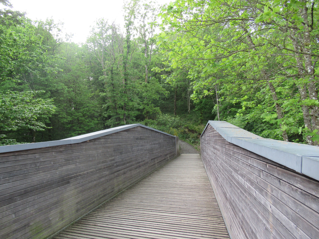 Panorama Platform Belvedere Burfelt景点图片