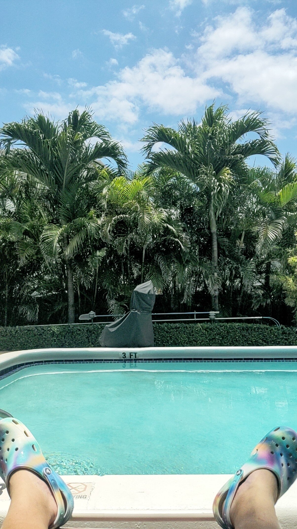 Seahorse Guesthouse-泳池