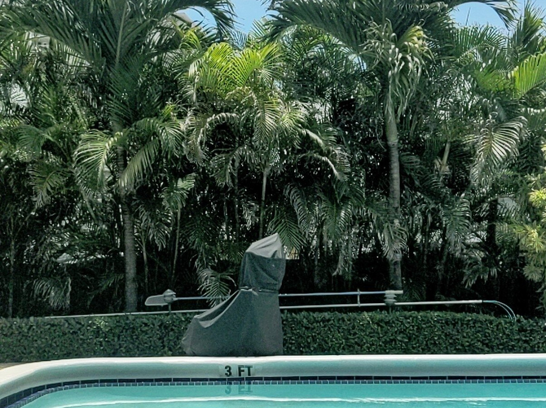 Seahorse Guesthouse主图