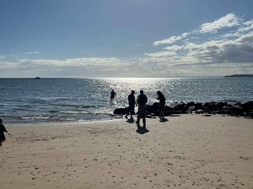 Hervey Bay Eco Marine Tours-赫维湾必去景点