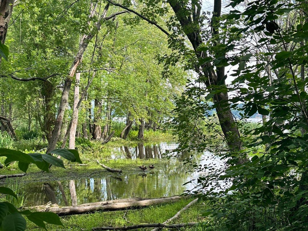 Sandy Beach-Hudson必去景点