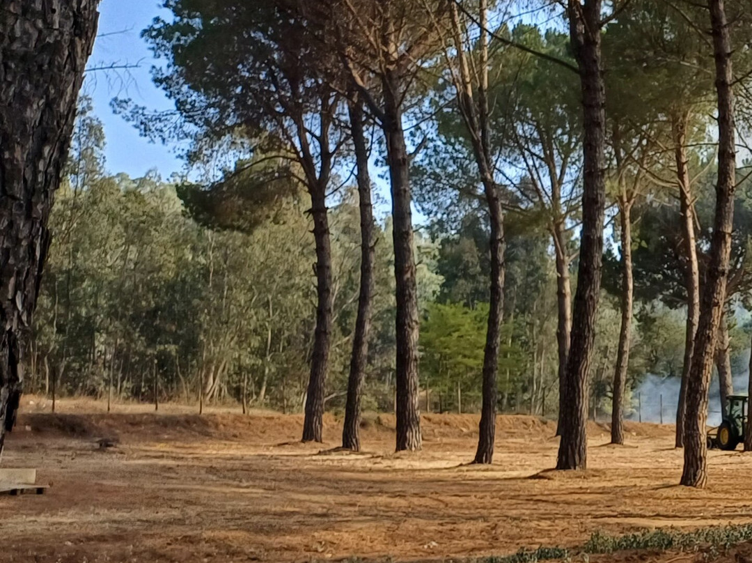 Rami Rural Resort主图
