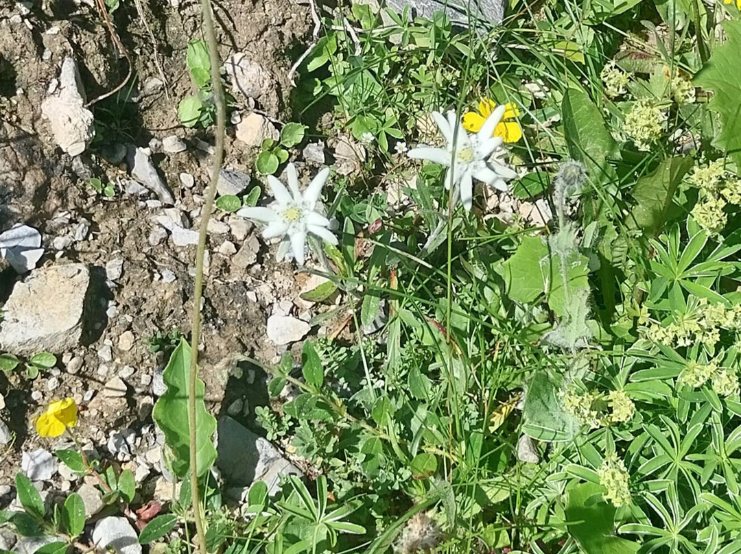 Pierre & Vacances Residence Les Sentiers du Tueda主图