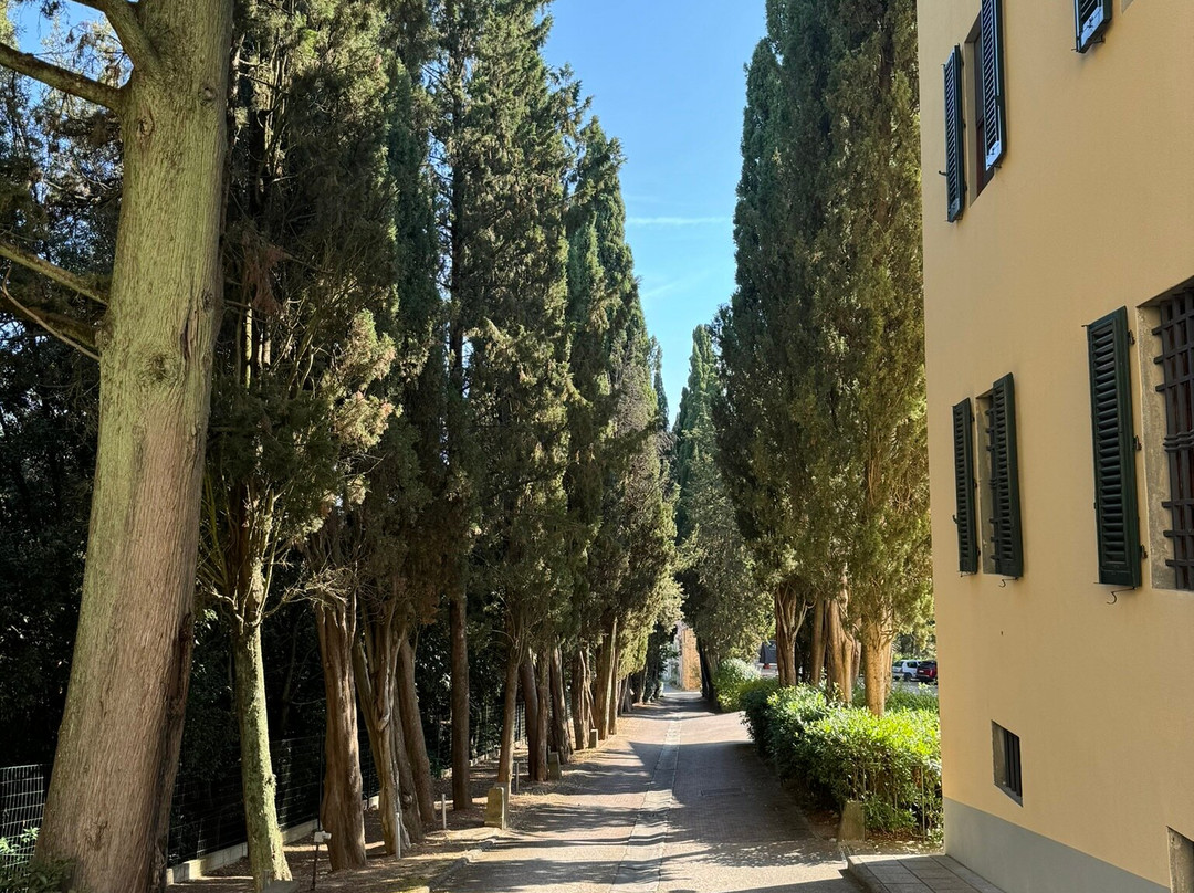 Villa S. Andrea主图