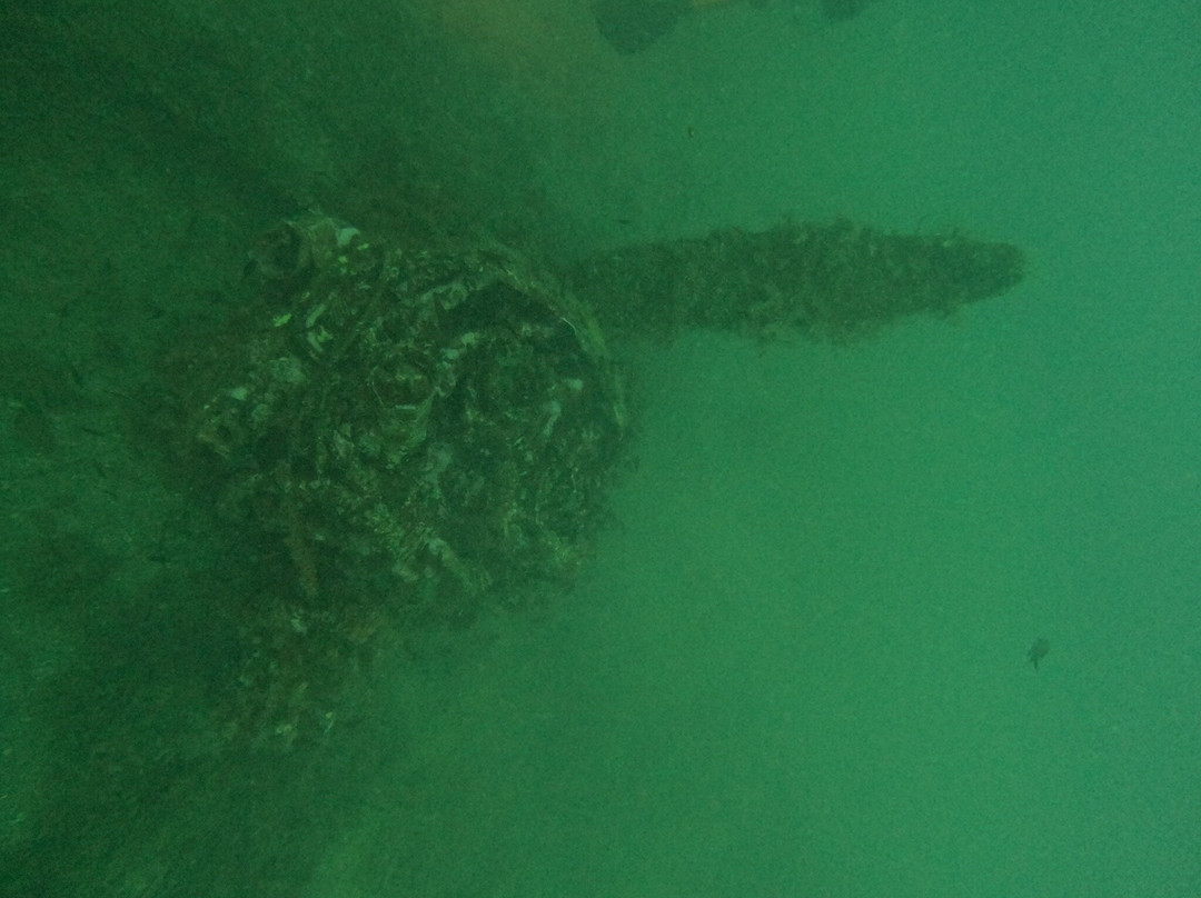 Buceo Mojacar景点图片