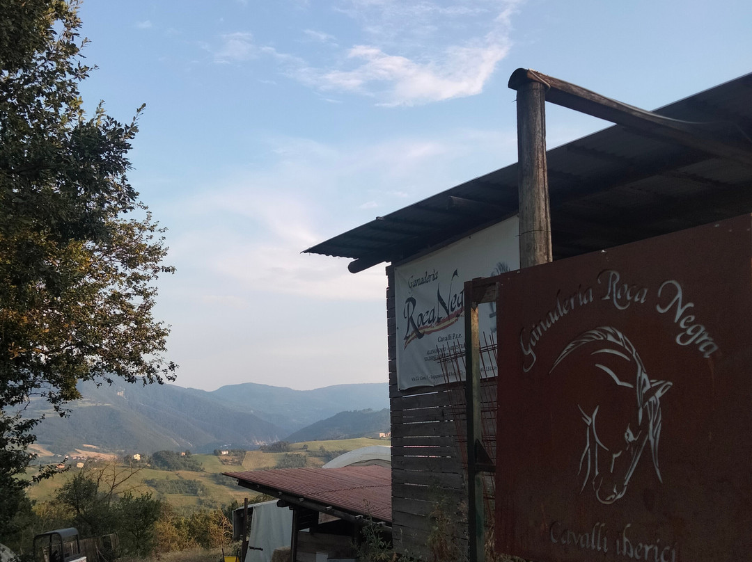 La Locanda dei Cavalieri Affittacamere主图