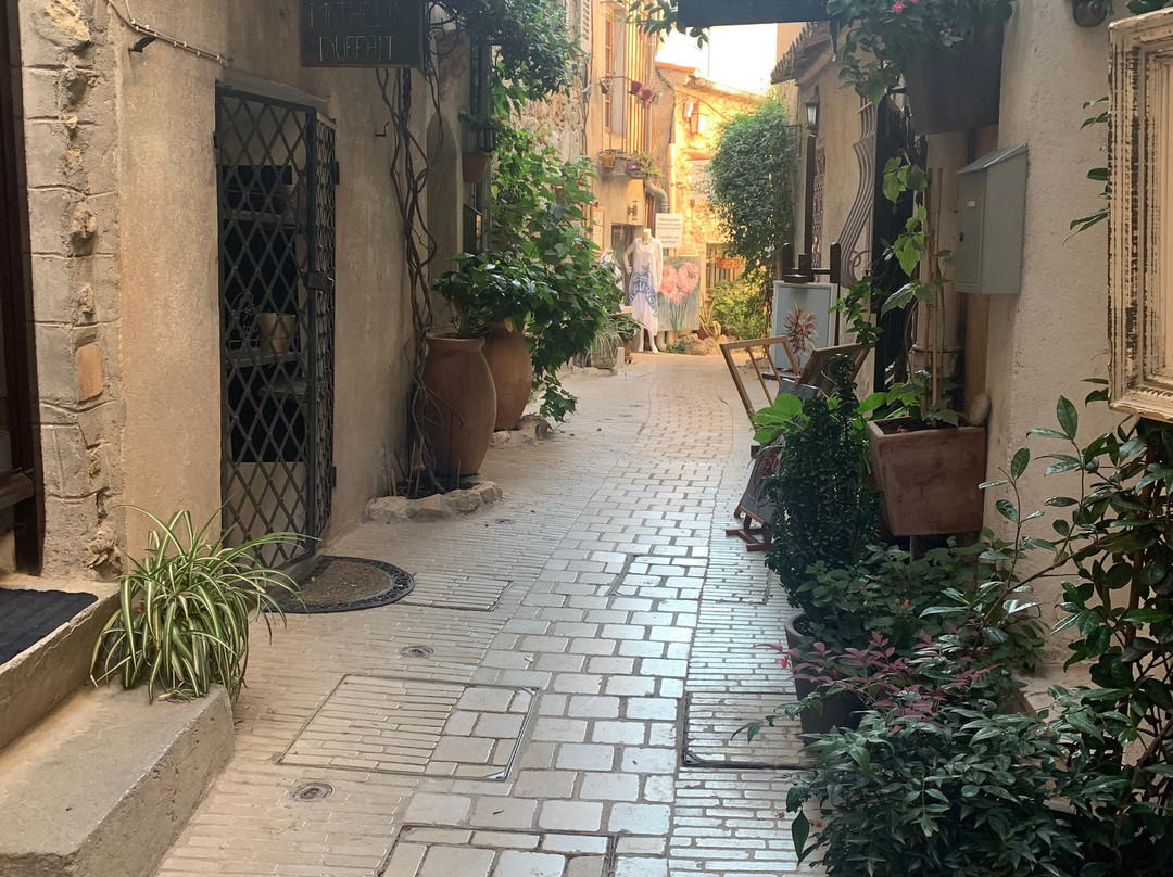 Village de Mougins景点图片