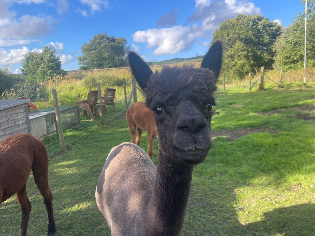 卢温欧恩旅馆主图