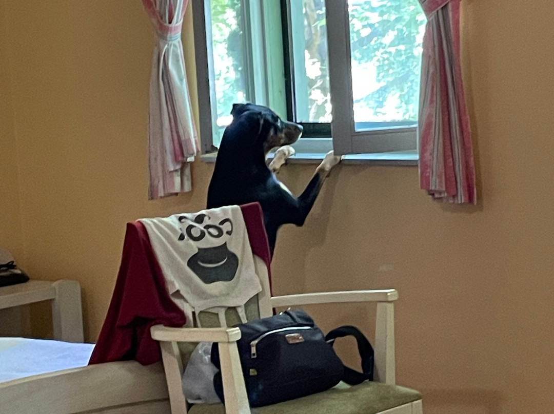 阿巴齐亚乡村俱乐部酒店主图