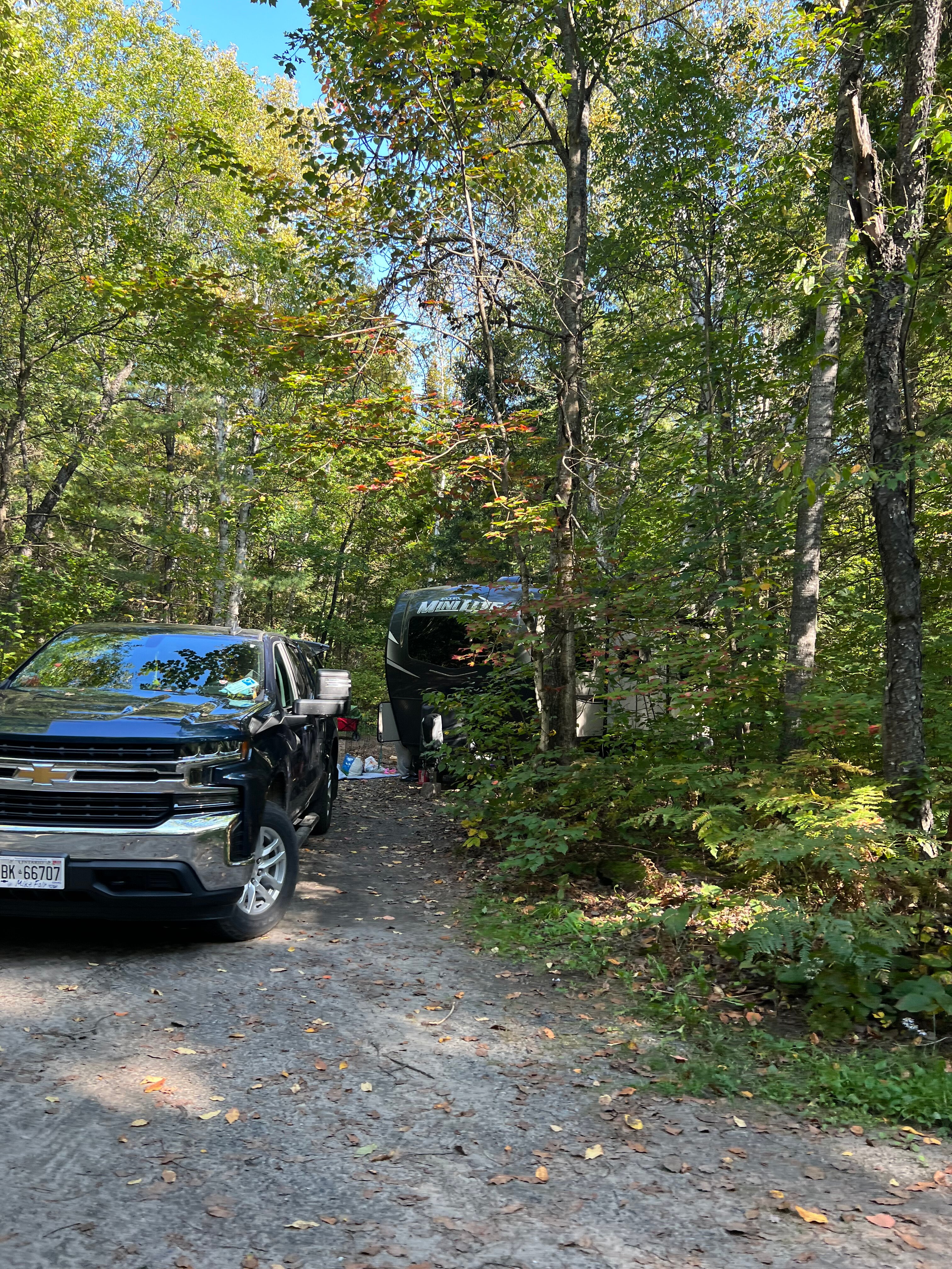 Muskoka Bay Resort-官方