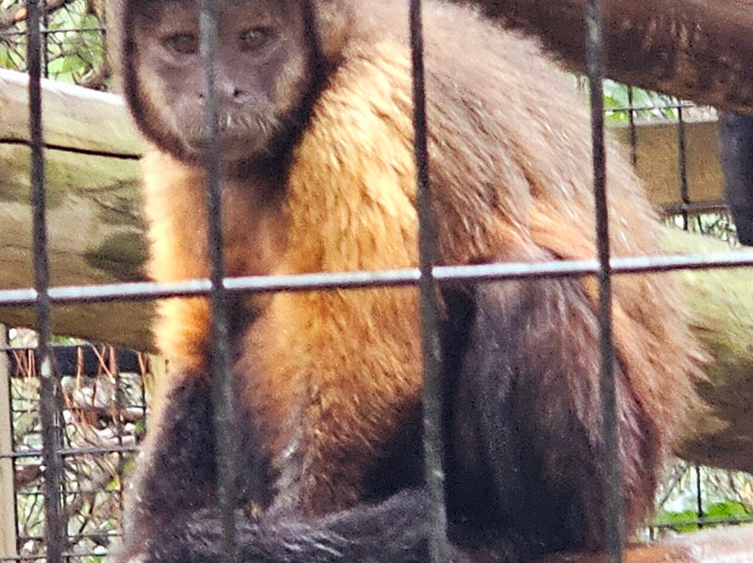 Safari North-Brainerd必去景点