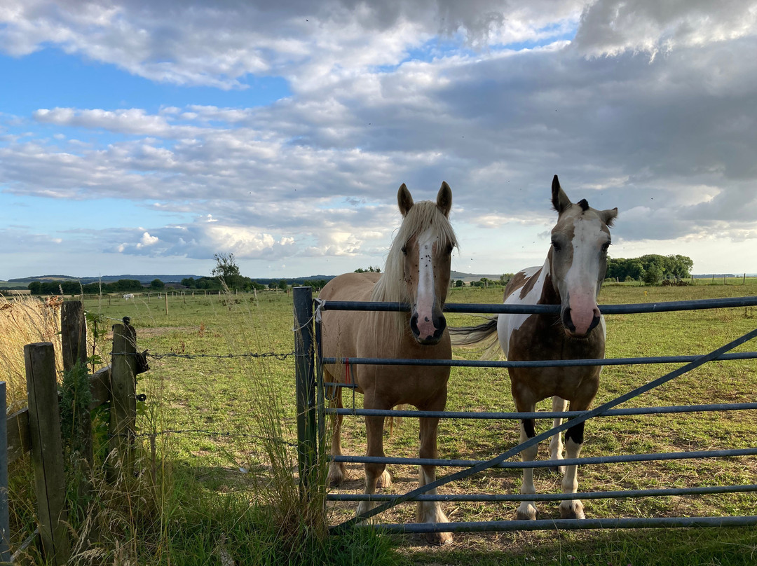 Manor Farm B&B主图