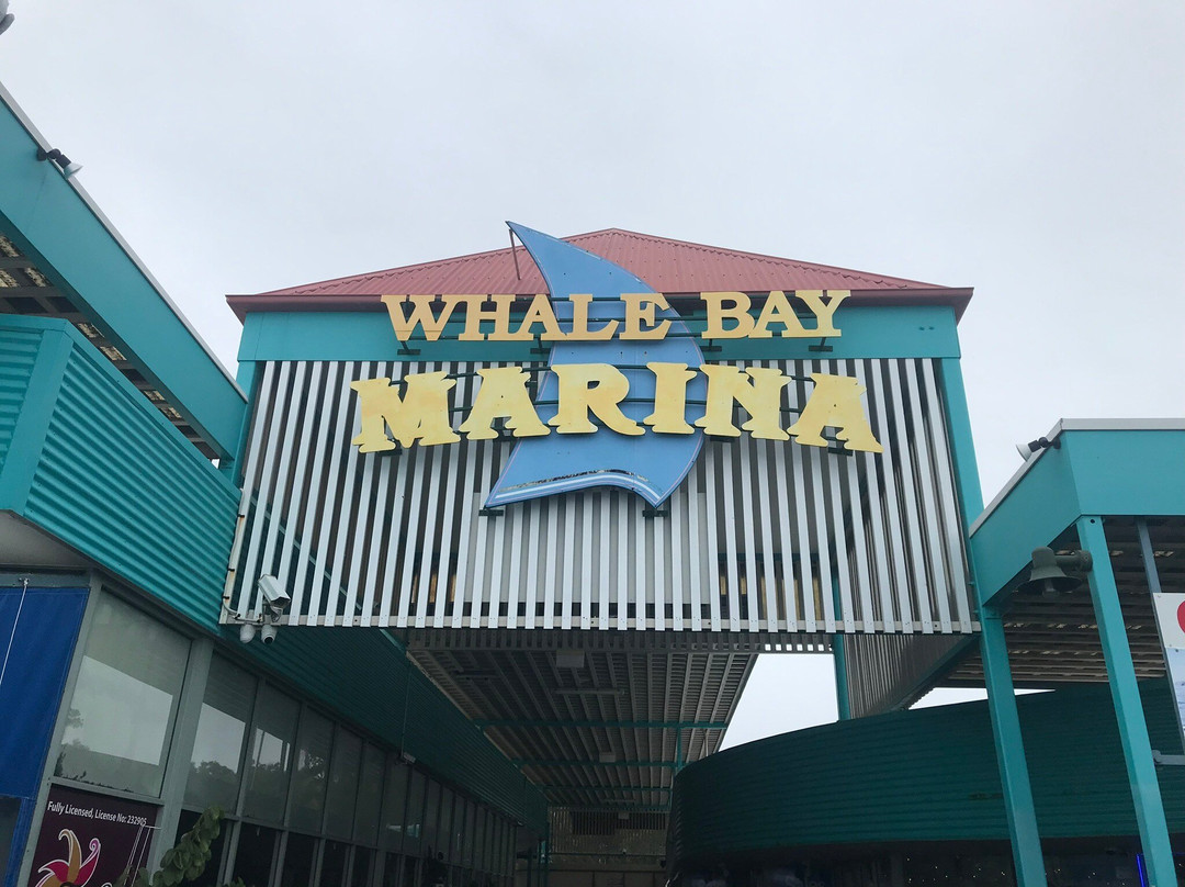 白鸡冠豪华公寓主图