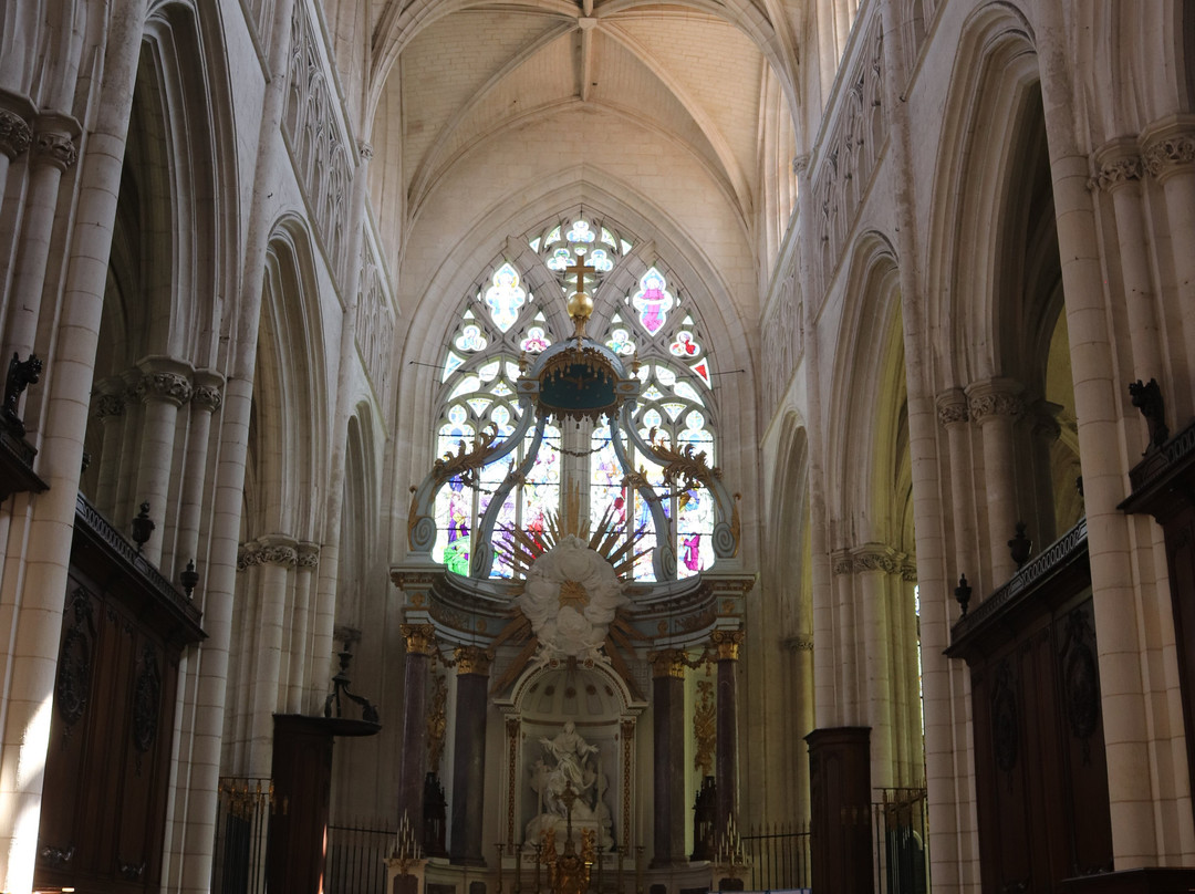 La Cathédrale Notre-Dame de l'Assomption景点图片