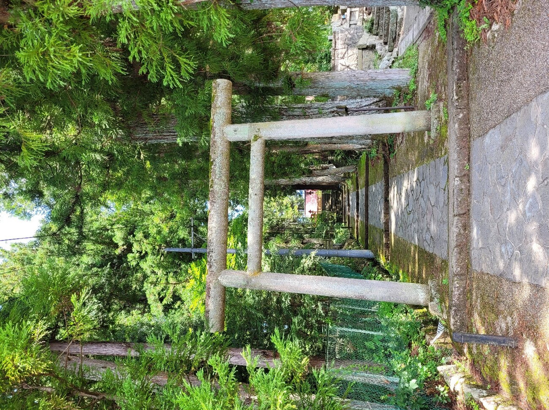 东山游步道-高山市必去景点