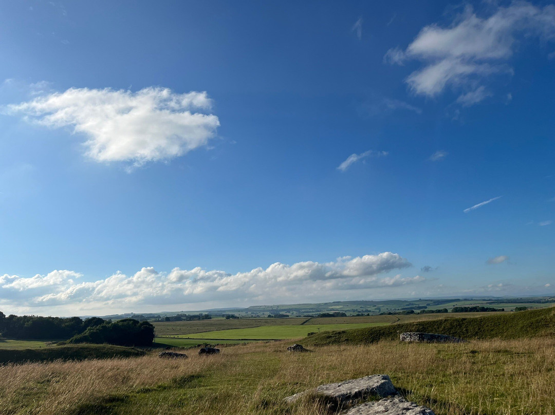Arbor Low Stone Circle & Gib Hill Barrow景点图片