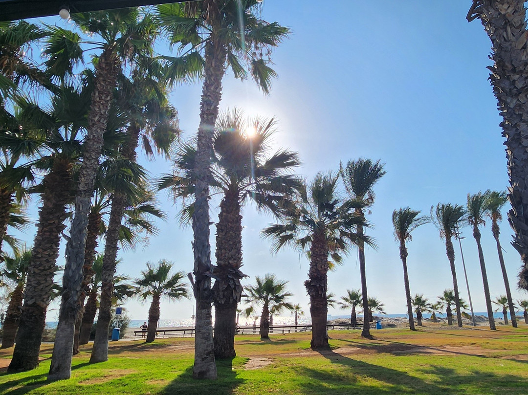 Playa Del Pinar景点图片
