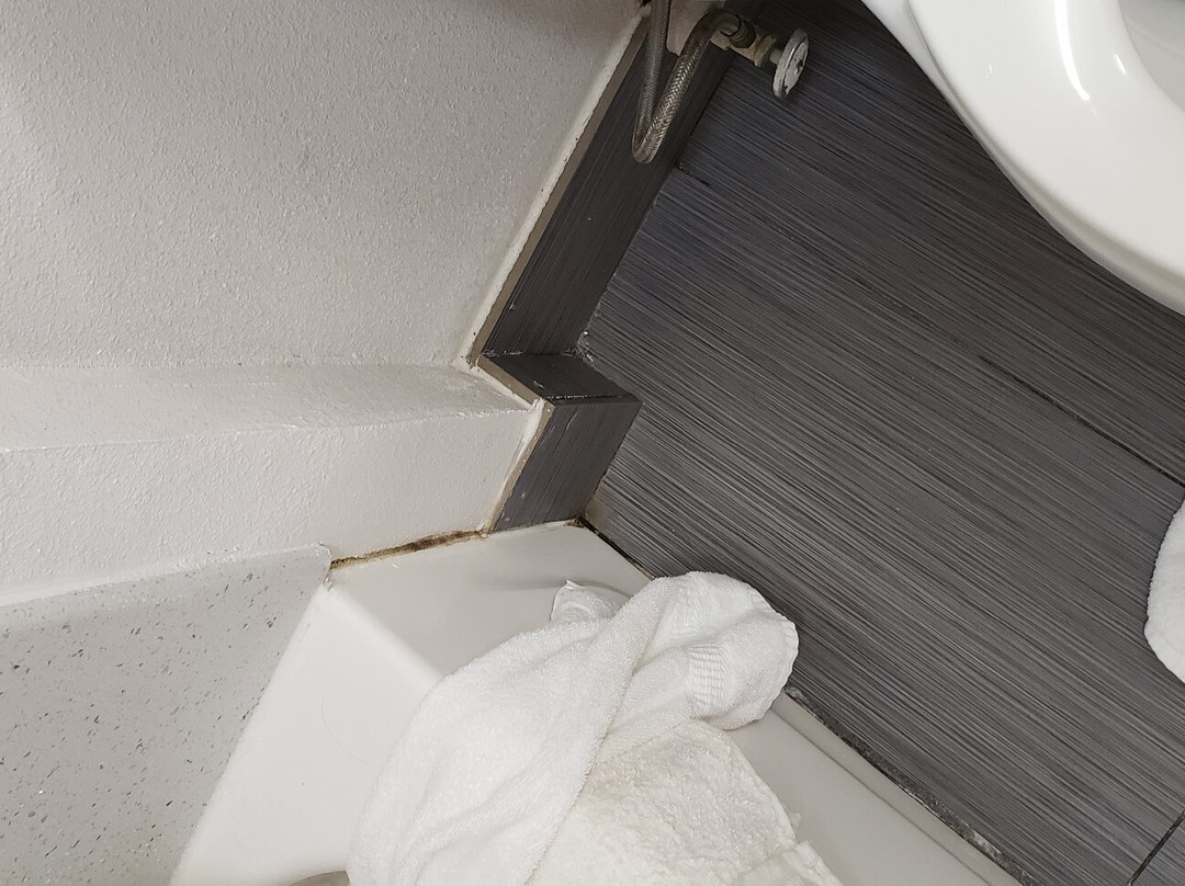 大学凯富酒店主图