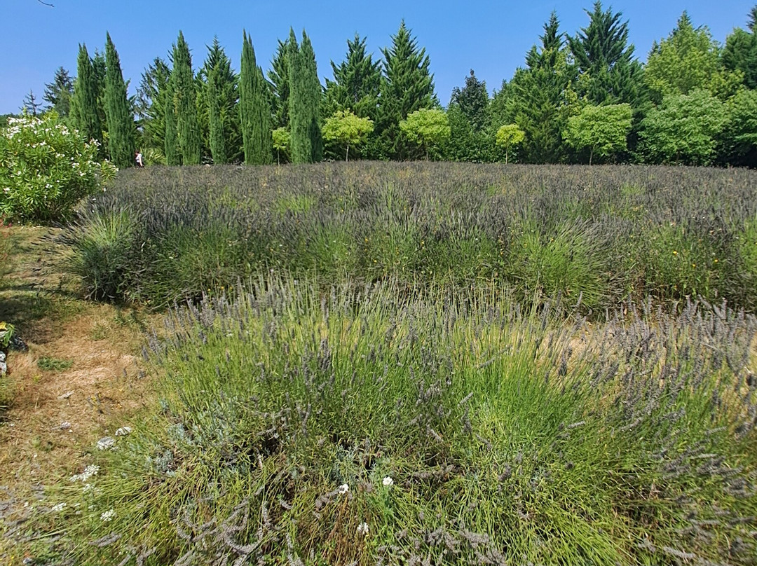 Les jardins du Coq景点图片