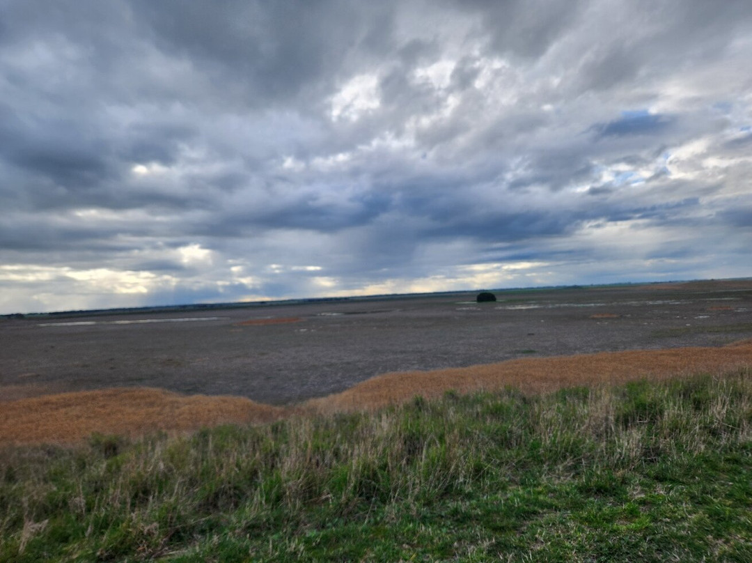 Bool Lagoon-Naracoorte必去景点