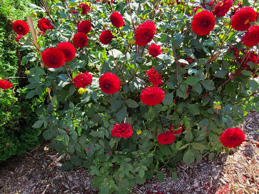 Lily Bay Pottery-斯特金贝必去景点