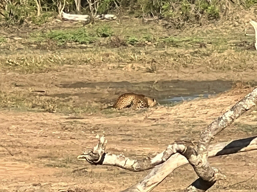Yala Tusker Safari Tours-蒂瑟默哈拉默必去景点