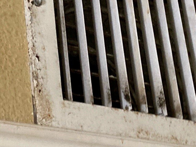 Homewood Suites by Hilton Longview主图