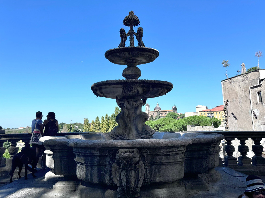 Le Fontane di Viterbo景点图片