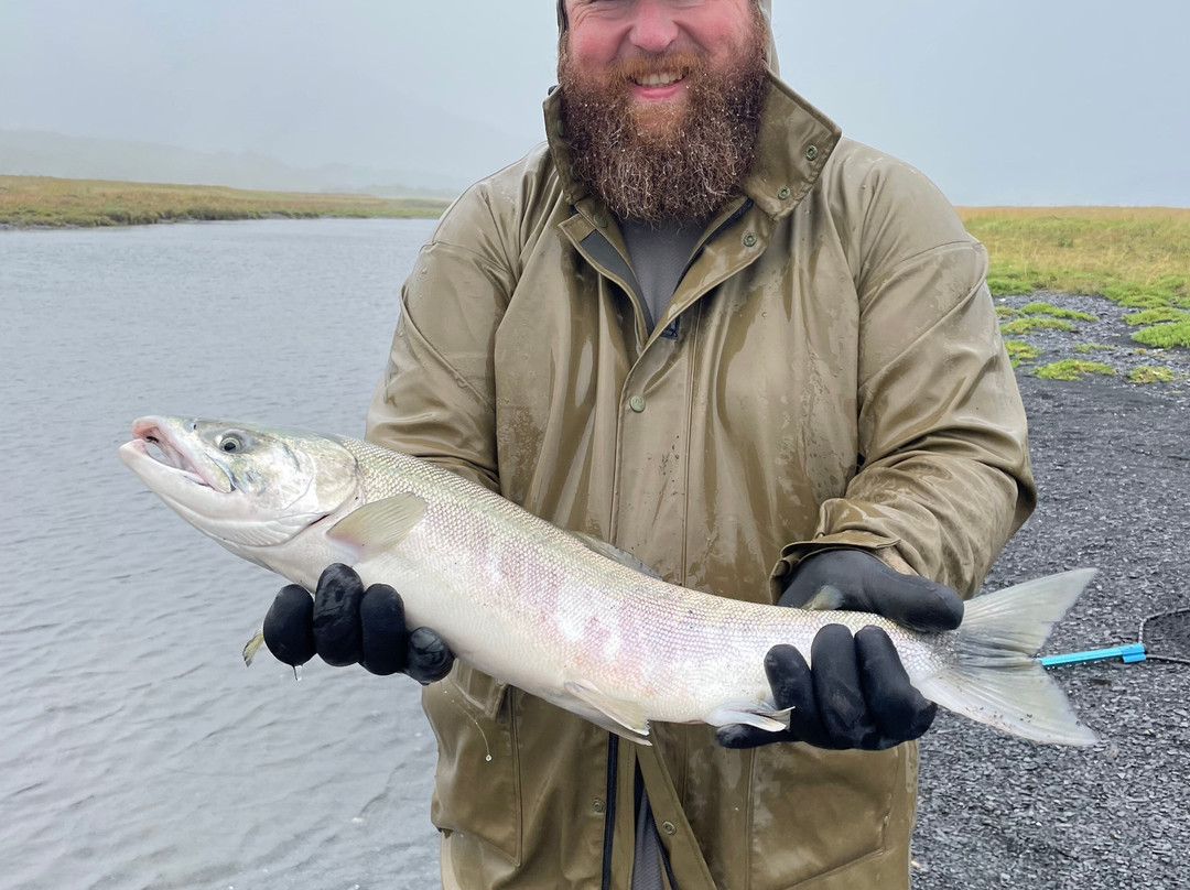 Head Shakers Kodiak-Kodiak必去景点