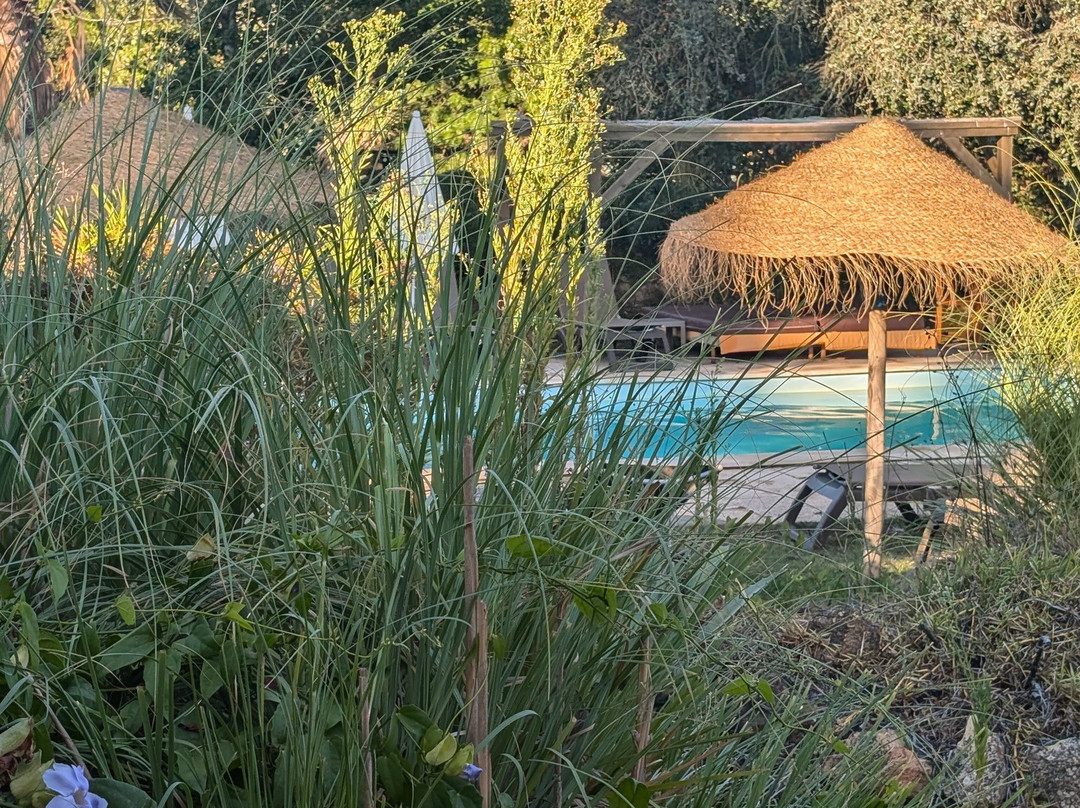 Quinta da Samoqueirinha主图