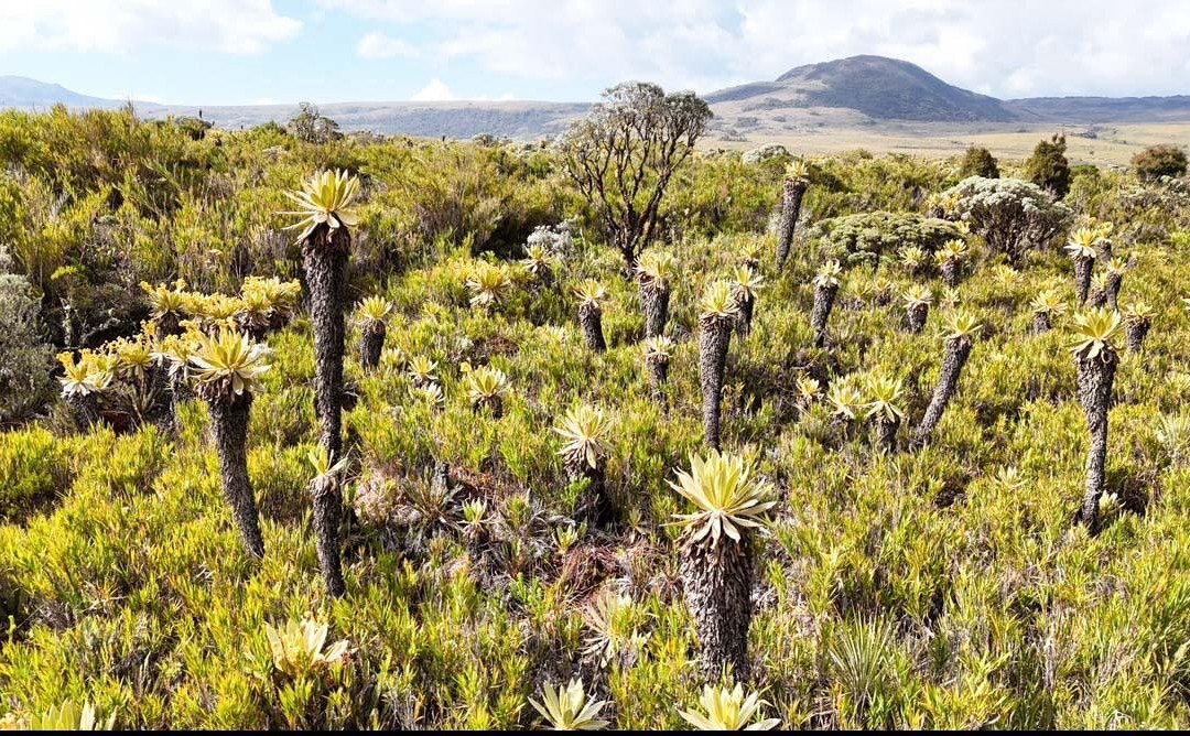 Puracé National Natural Park-Huila Department必去景点