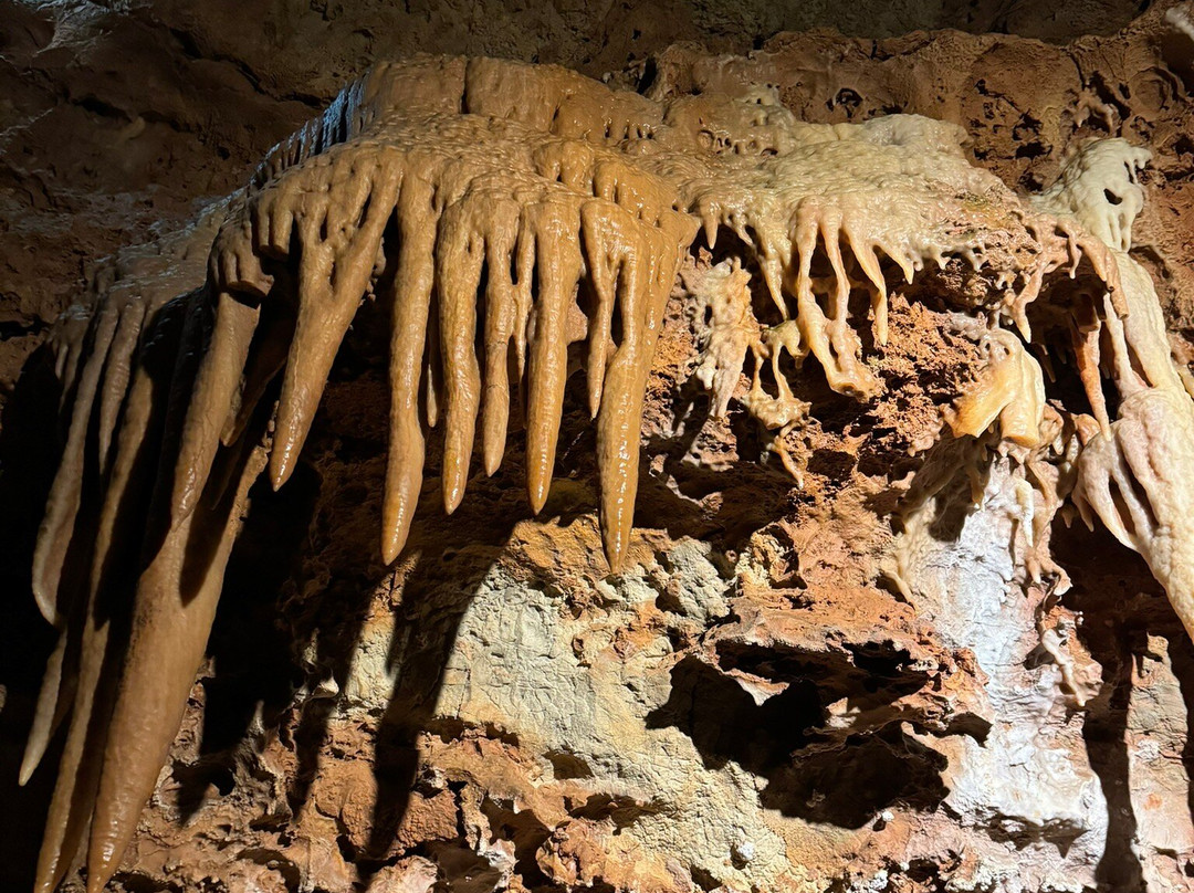 Grotte de Saint-Cézaire景点图片