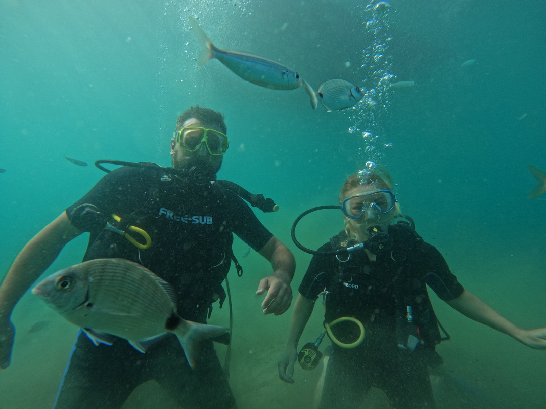 Active Blue Diving Center景点图片