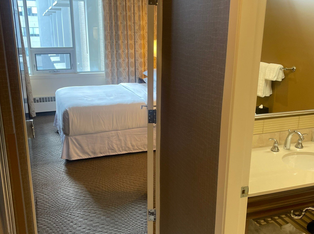 萨斯卡通喜来登骑士酒店主图