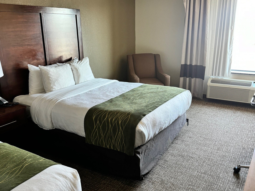 Comfort Inn & Suites Panama City Mall主图