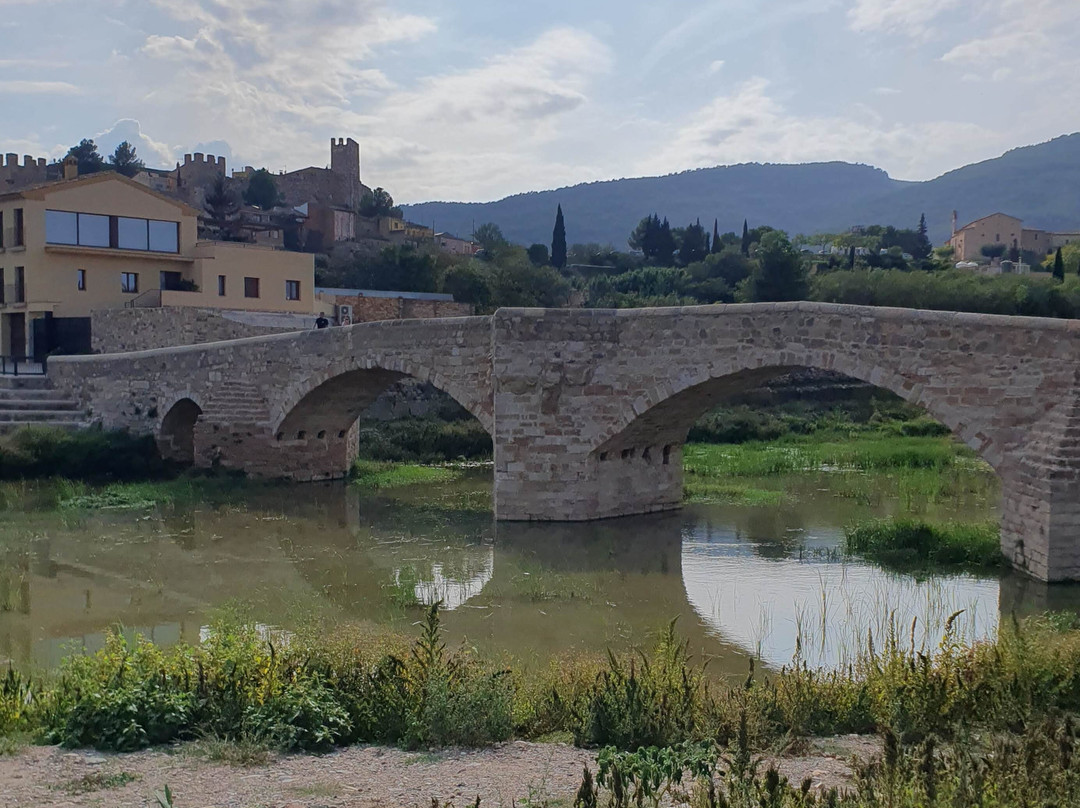 Pont Vell景点图片