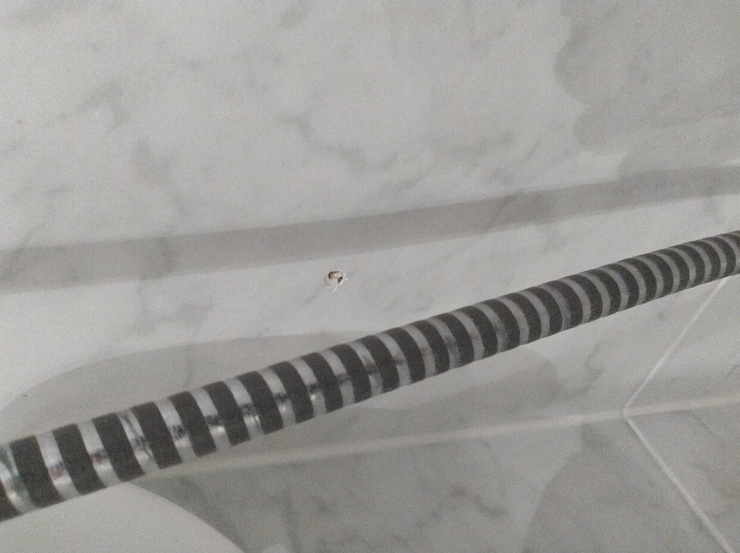Romantik Hotel Zur Schwane主图