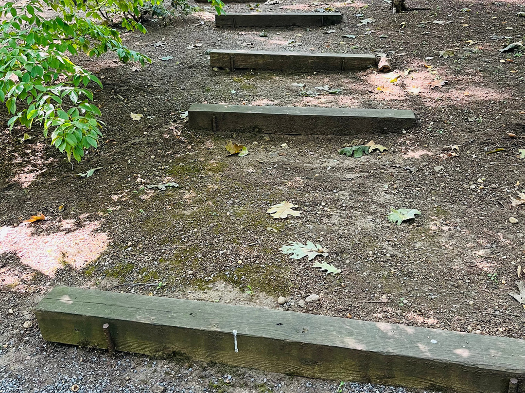 Clark Botanic Garden-Albertson必去景点