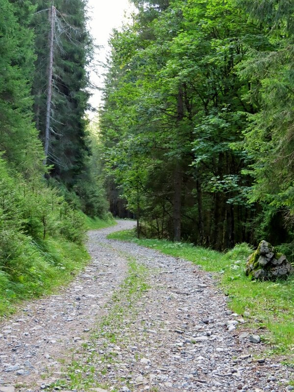 Passeggiata - Strada dei Siori-Selva di Cadore必去景点
