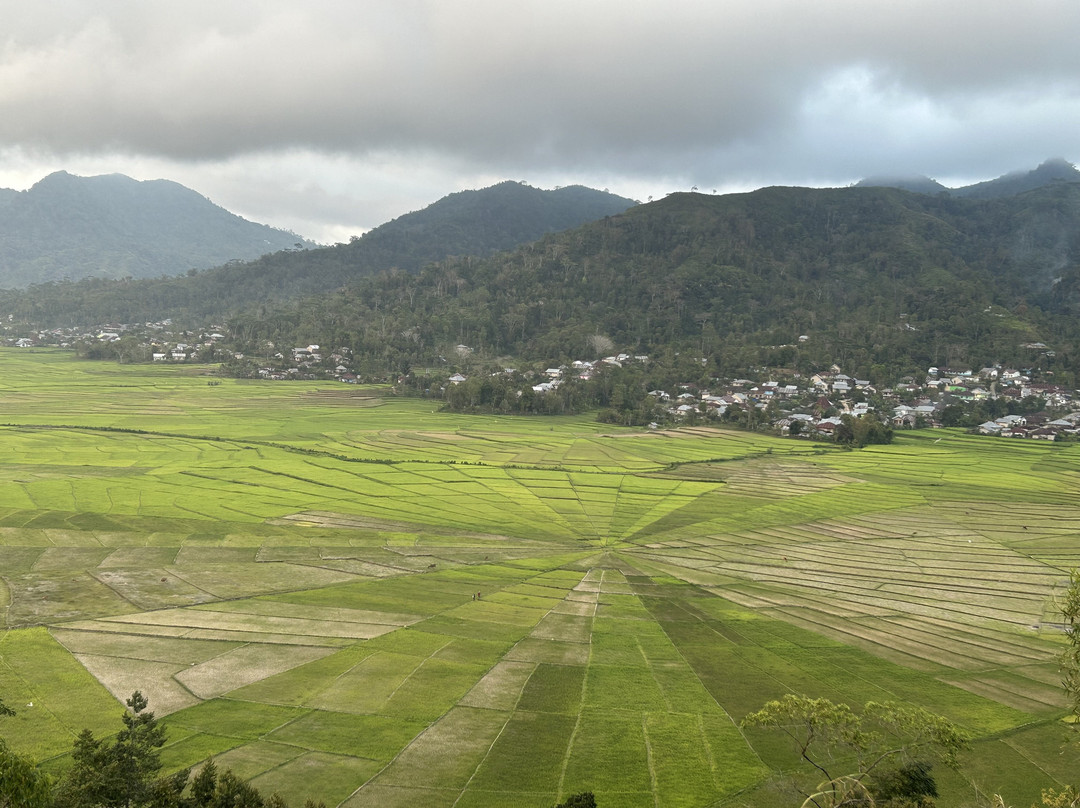 Lingko Spider Web Rice Fields - Walking Tours景点图片