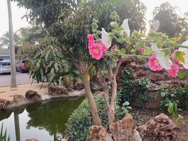 Mt Pleasant Bed And Breakfast Ltd主图