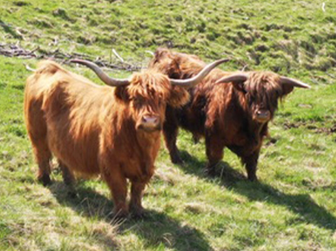 Ulkeröds Gård-Hedekas必去景点