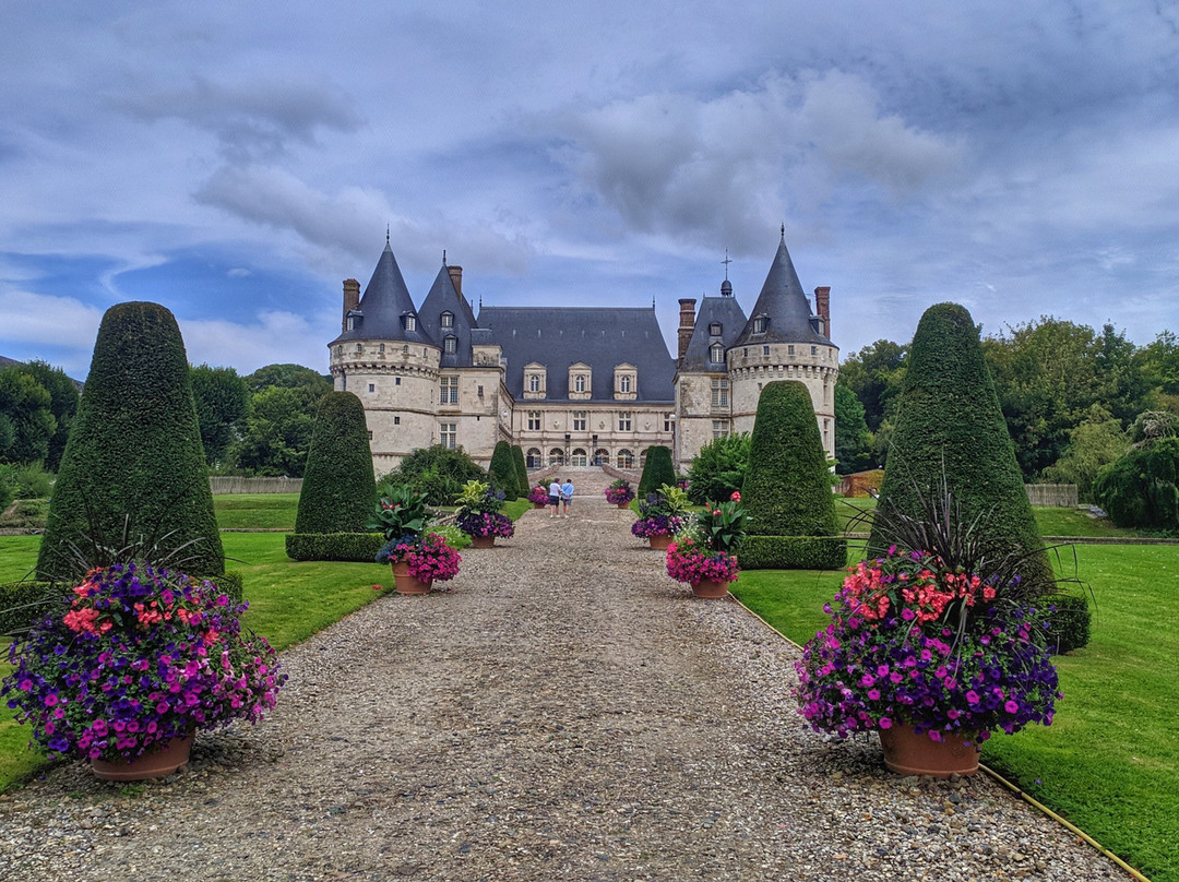 Chateau de Mesnieres景点图片