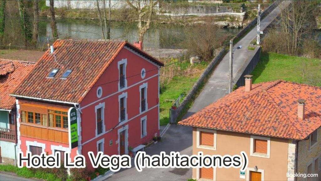 Hotel La Vega主图