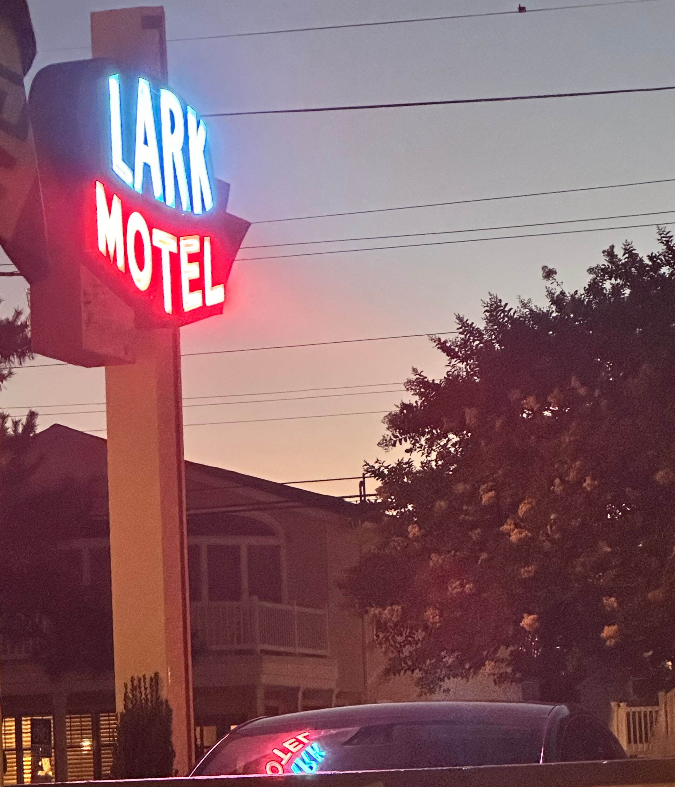 Lark Motel-官方