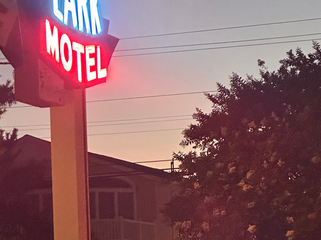 Cape May County酒店住宿-Lark Motel